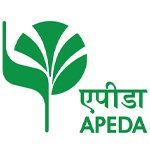 Vidharbha