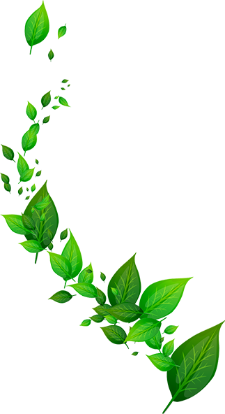 Vidharbha